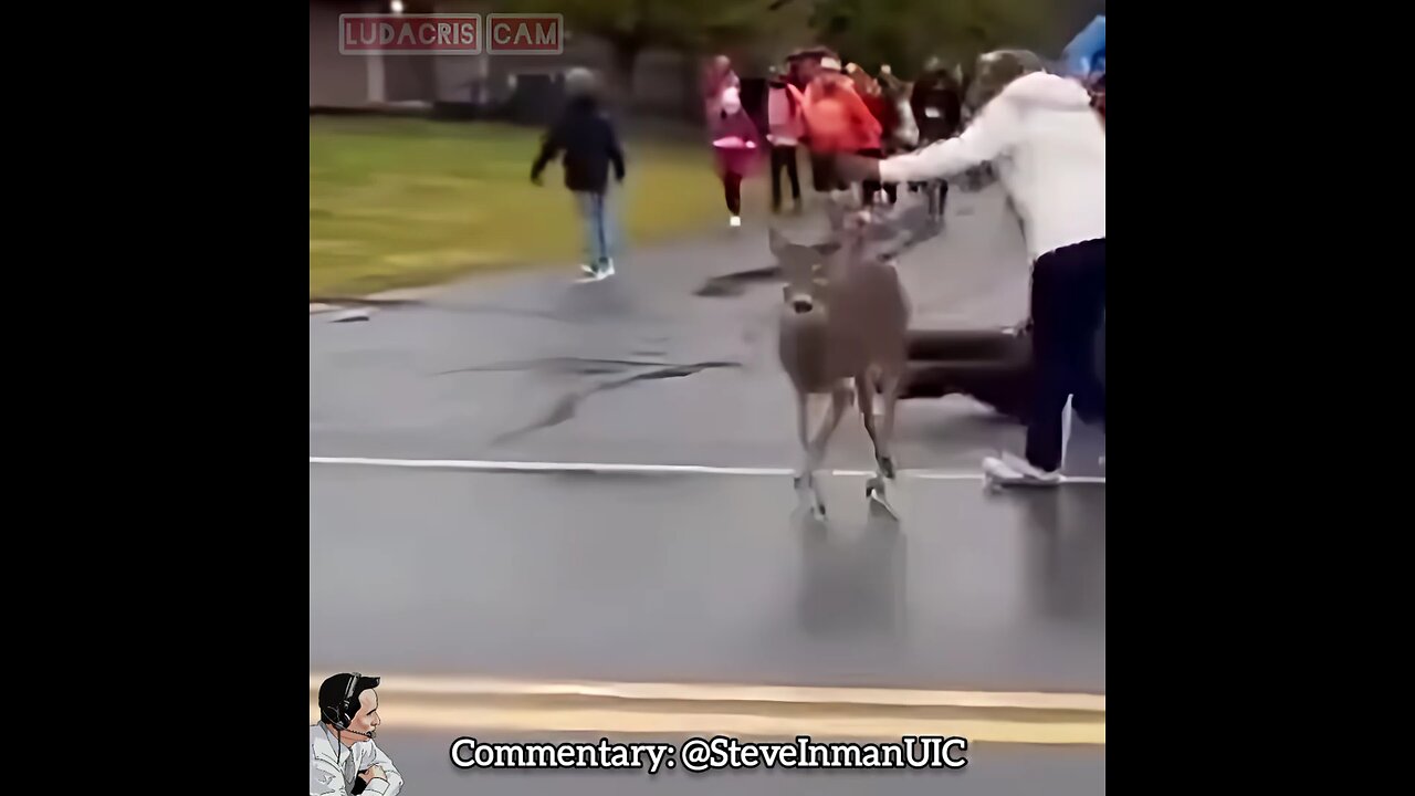 Grandma got run over by a reindeer. For real.