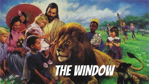 THE WINDOW || HORSE CACTUS MUSIC