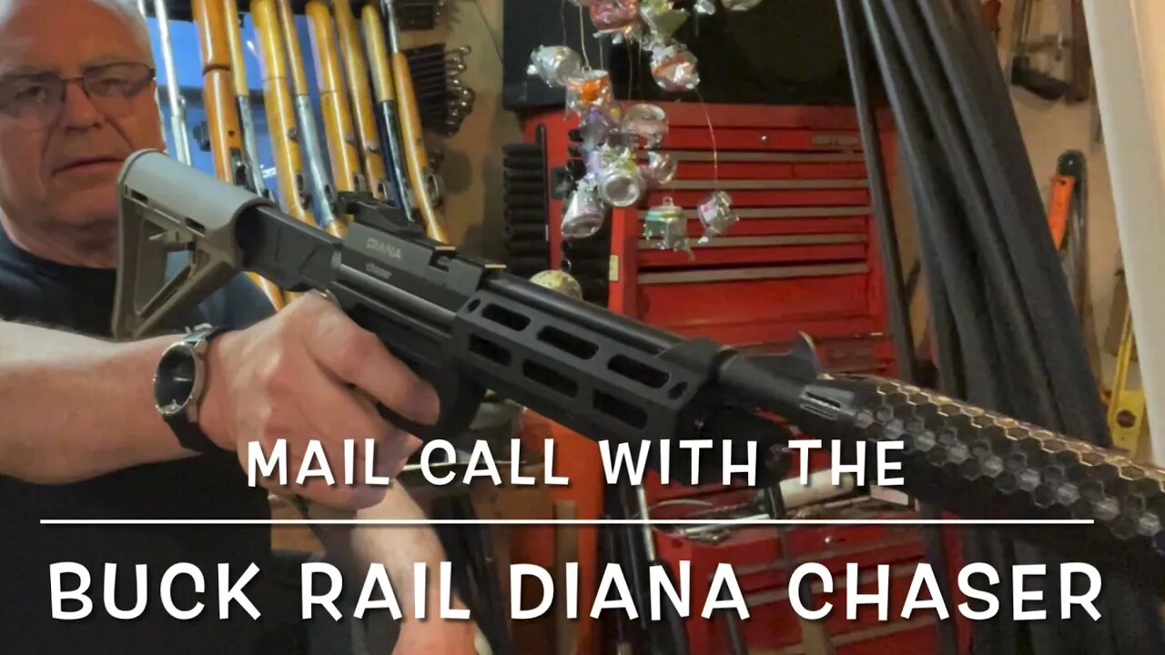 Mail call with a very special Diana Chaser 22 carbine conversion from Buck Rail & parts for my 38T