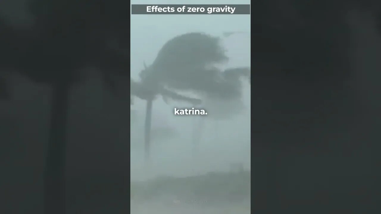 Effects of zero gravity, if earth lost it's gravity for 5 seconds. #earth #gravity #shorts