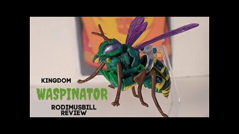 Kingdom WASPINATOR Transformers Deluxe WFC Figure (Wave 4) - Rodimusbill Review