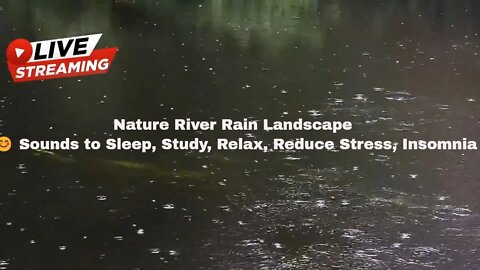 Nature River Rain Landscape 😊 Sounds to Sleep, Study, Relax, Reduce Stress, Insomnia
