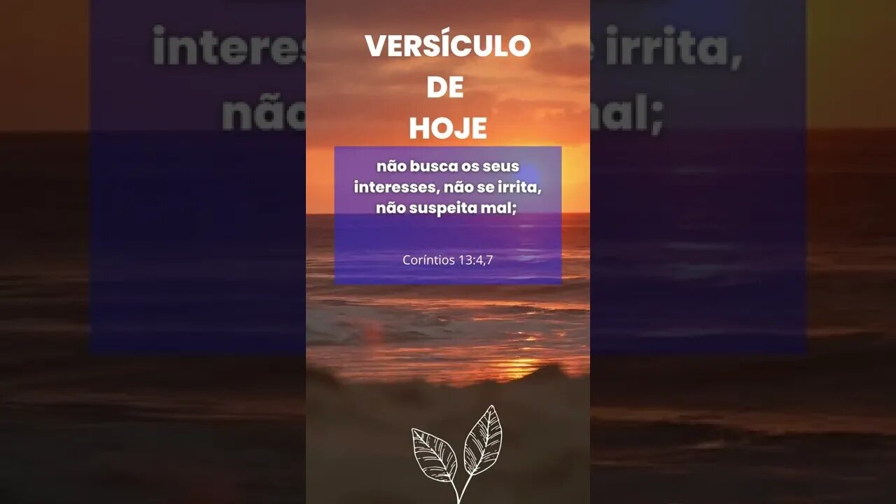 VERSÍCULO DE HOJE #shorts