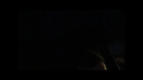 Running From Cops Part 2