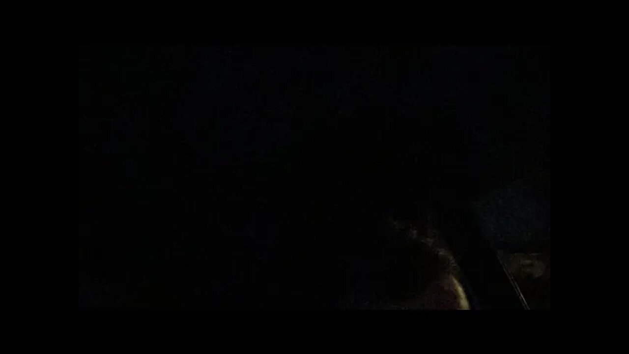 Running From Cops Part 2