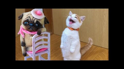 Funny cat and dog home_TRY NOT TO LAUGH__Funniest Animal _Baby Cats Compilation #8 2022.