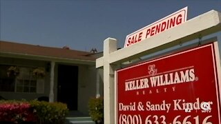 Housing market in South Florida ripe for the picking