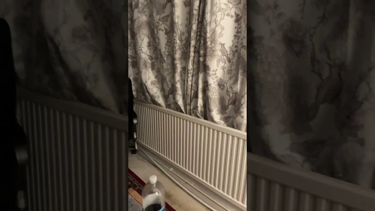 All woke up and ready to start my day off enjoy 😉 the clip and like 👍 and and subscribe