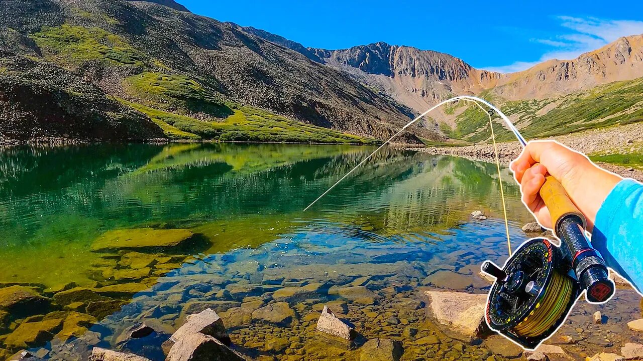 Fly Fishing a Lake LOADED with Trout!! (Fish Every Cast)