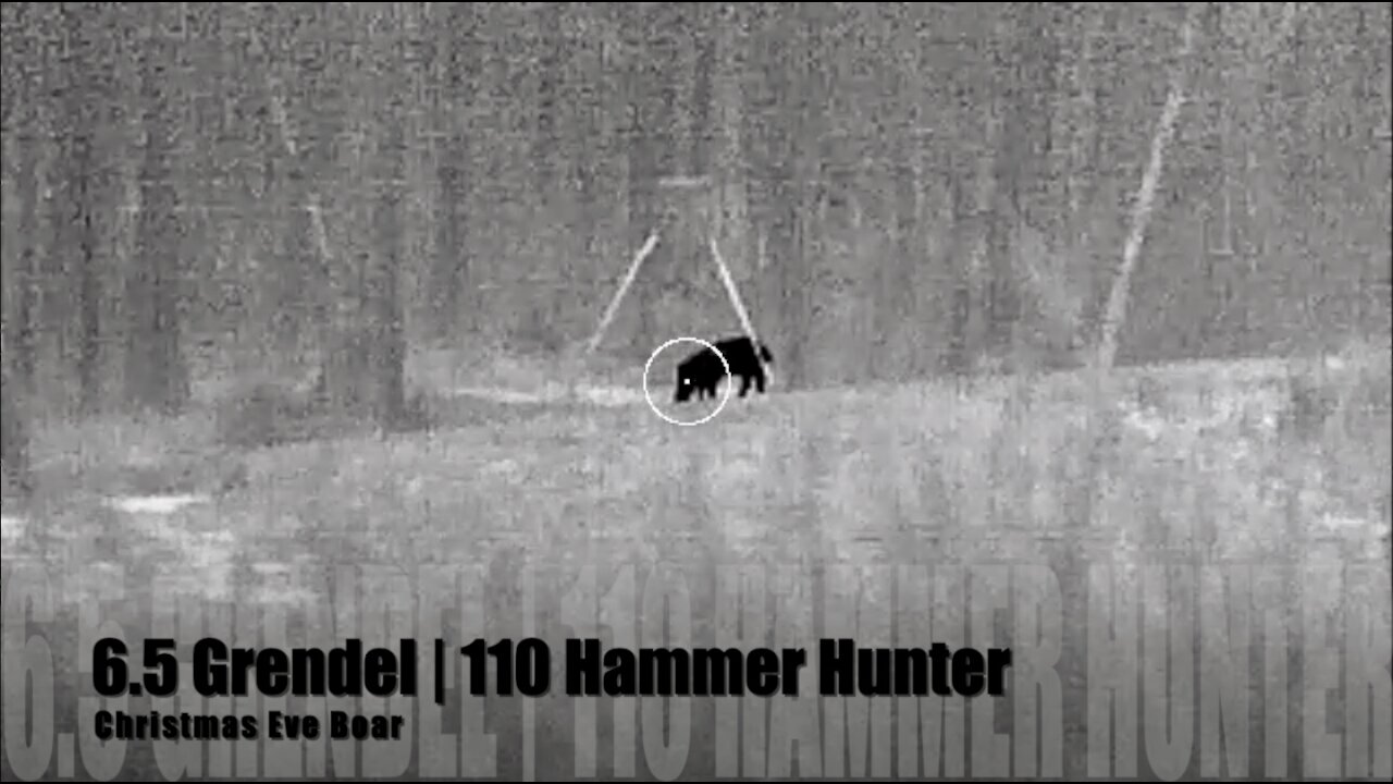 6.5 Grendel 110 Hammer Hunter Christmas Eve Boar