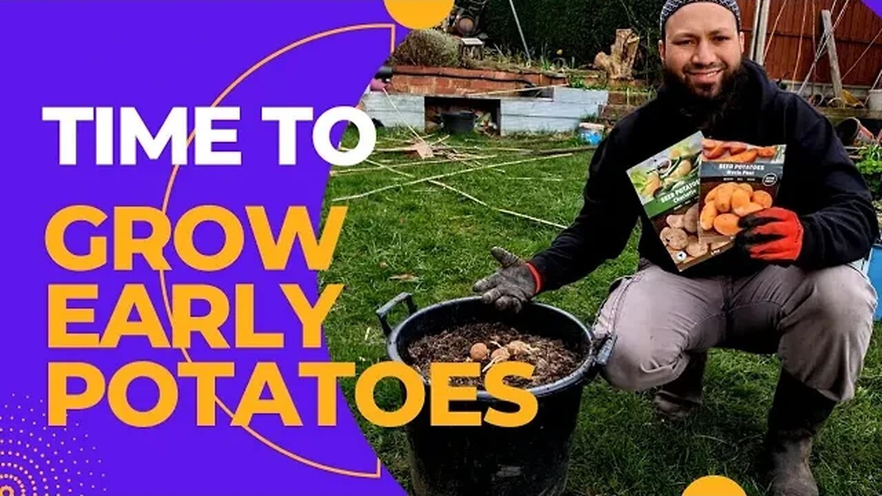 When To Plant Early Potatoes - How To Plant Early Potatoes in Containers