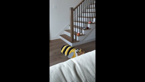corbees