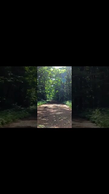 BANEASA Forest ride, Bucharest - Ilfov | 4k Virtual Tour | #shorts