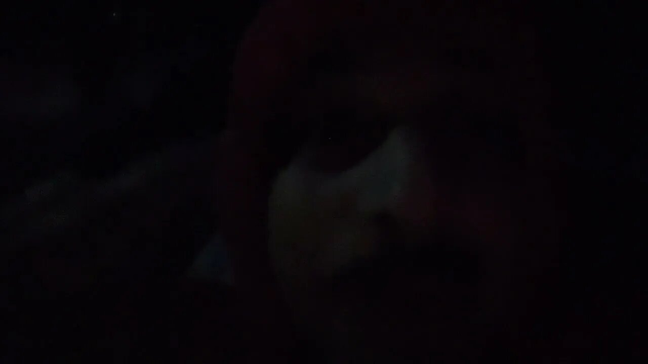 Boxing Monster vs Fulton 2023