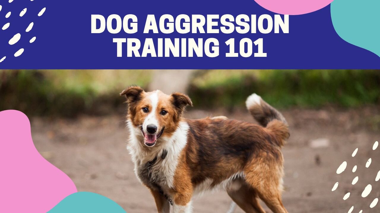 #1 Dog Training Guide | Make your dog aggressive instantly!