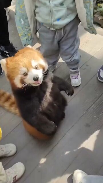 I’m very Fierce Stay away from me