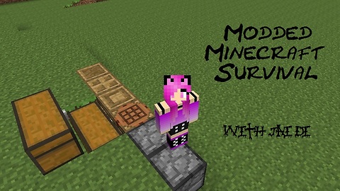 Modded MineCraft Survival