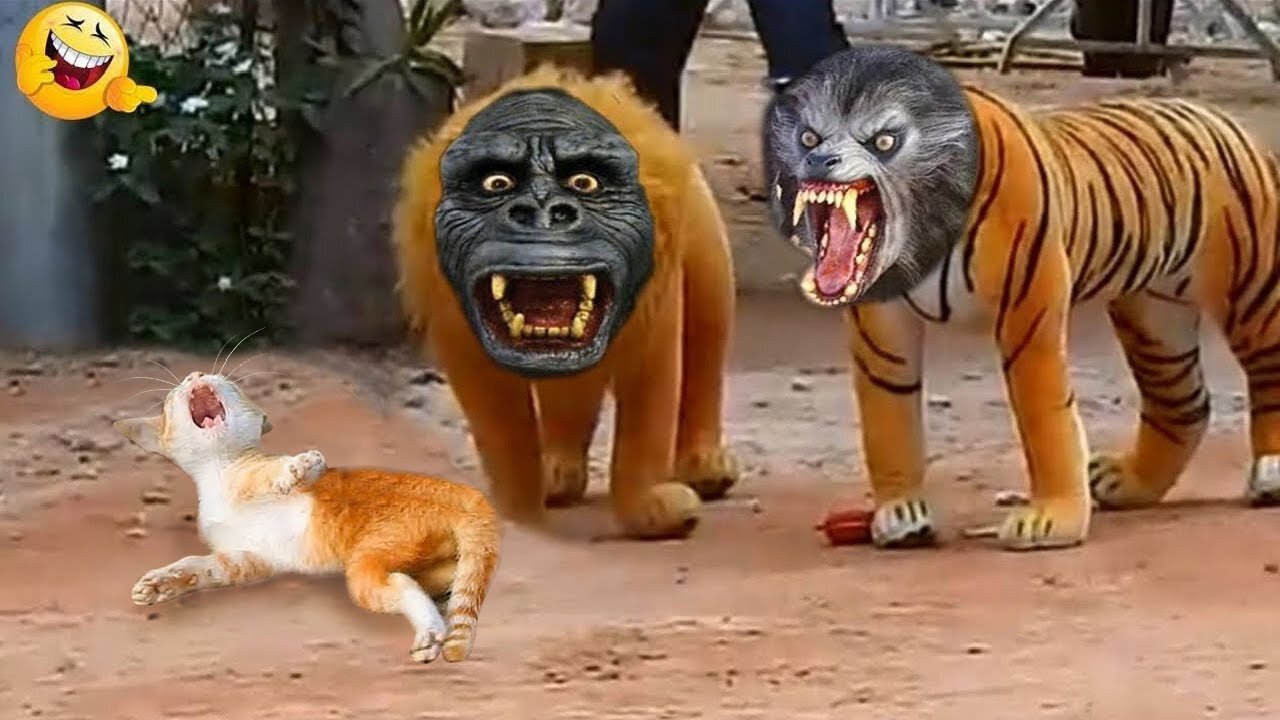 Funny Animals 😹 Funny Cats & Dogs Videos 😁 Funniest Animals 2023