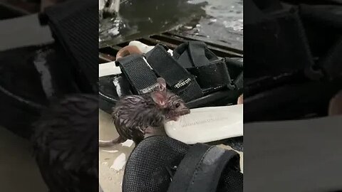 Wanna Give Him A Hug tiktok quynhvy1810