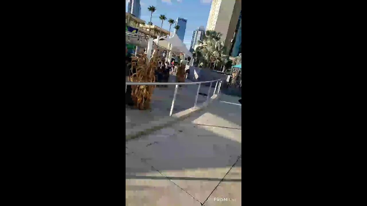 Post Sailaway of Radiance of the Seas: Port Tampa #live #livenow #livestream: see departure