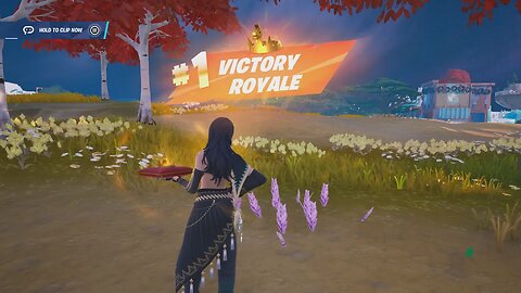 🔹🔷 CROWN Solo Victory Royale 30 (1199 Total) Chapter 4 Season 3 ERA Skin 🔷🔹