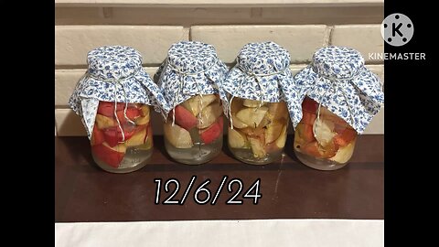Homemade Apple Cider Vinegar