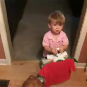 Toddler Boy Has Trouble Following Directions