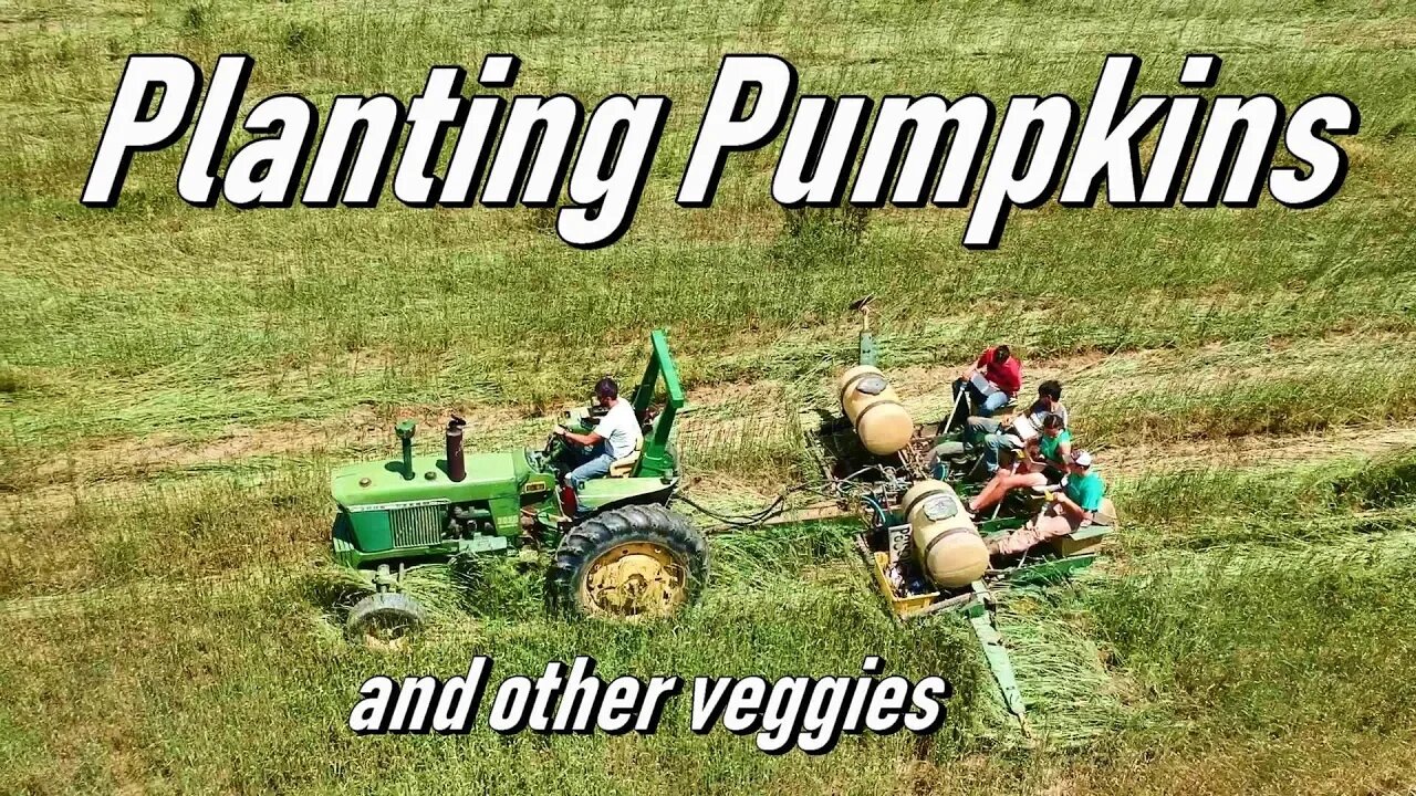 Planting Pumpkins and Transplanting Vegetables - Vlog 16