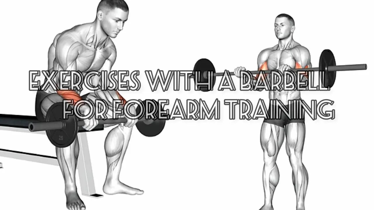 Exercises with a barbell for forearm training (gym)