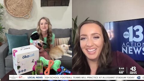 Earth Day for Pets
