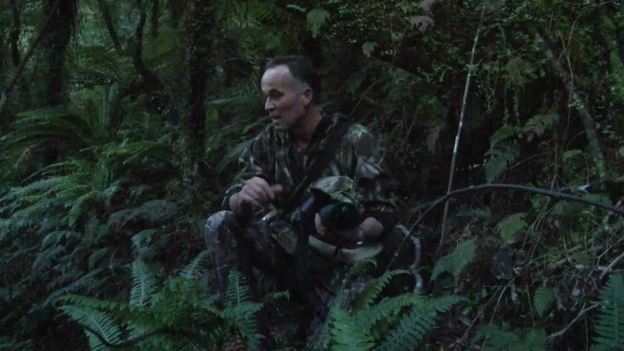 South Westland stag gets flashed