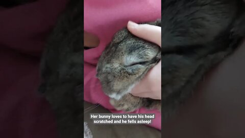 Lucy & her Bunny