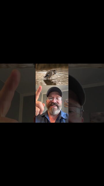 How to Lightroom Tutorial link - Golden Hour Look