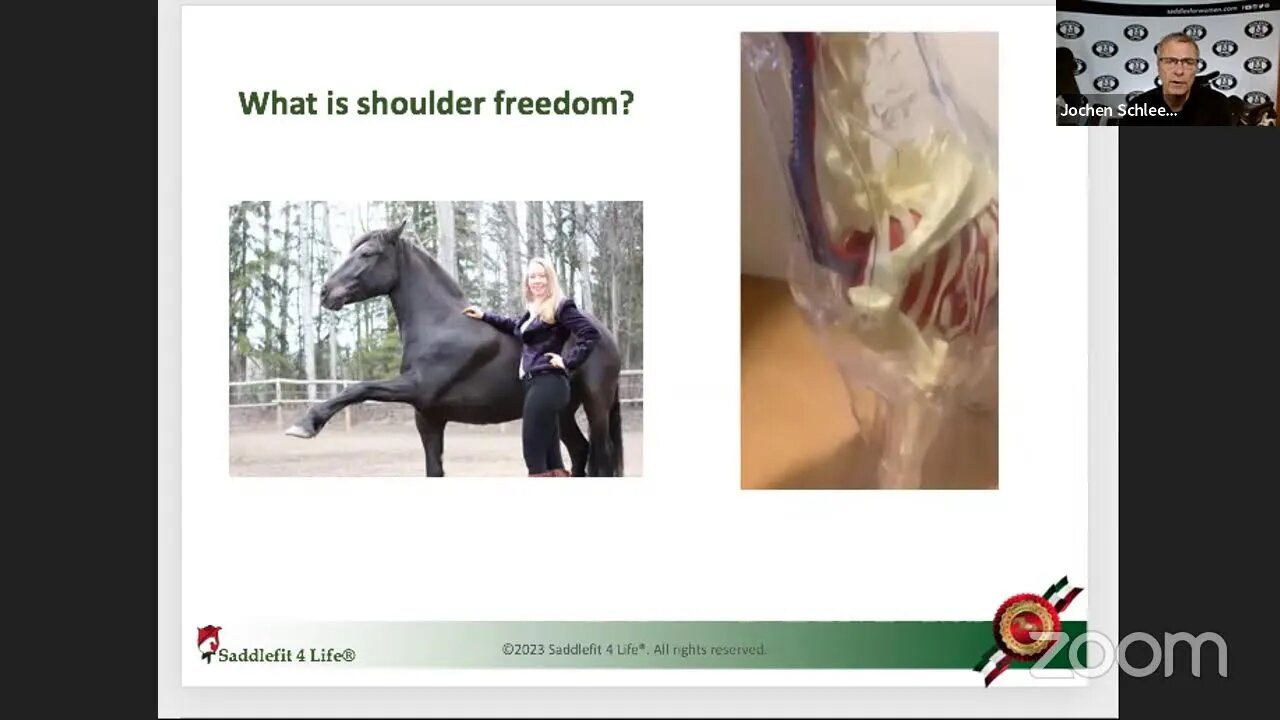 Saddle Talk With Jochen Schleese: Fitting Saddles To Horses with Kissing Spine