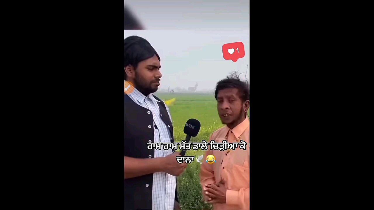 funny video