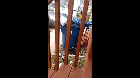 trashy memory
