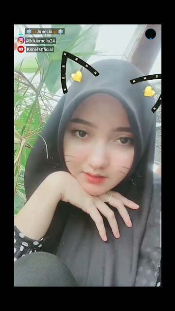 what kind of cat is this?