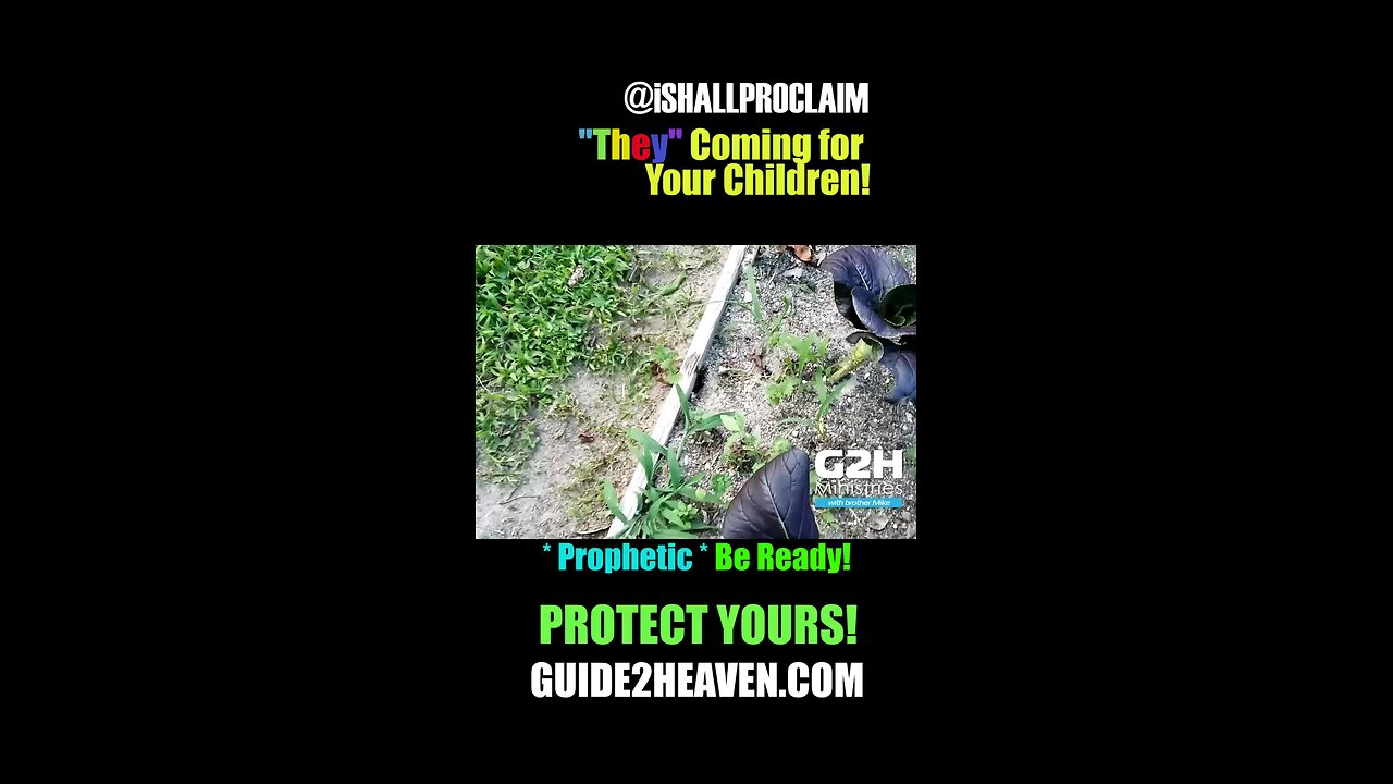 They Coming for Your Children! Prophetic | Go to the Ant!