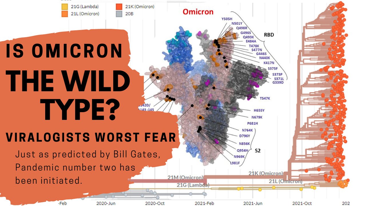 Pandemic number two begins: Omicron begins “wild type”