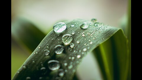 Rain Video for Deep Sleeping & Relaxing