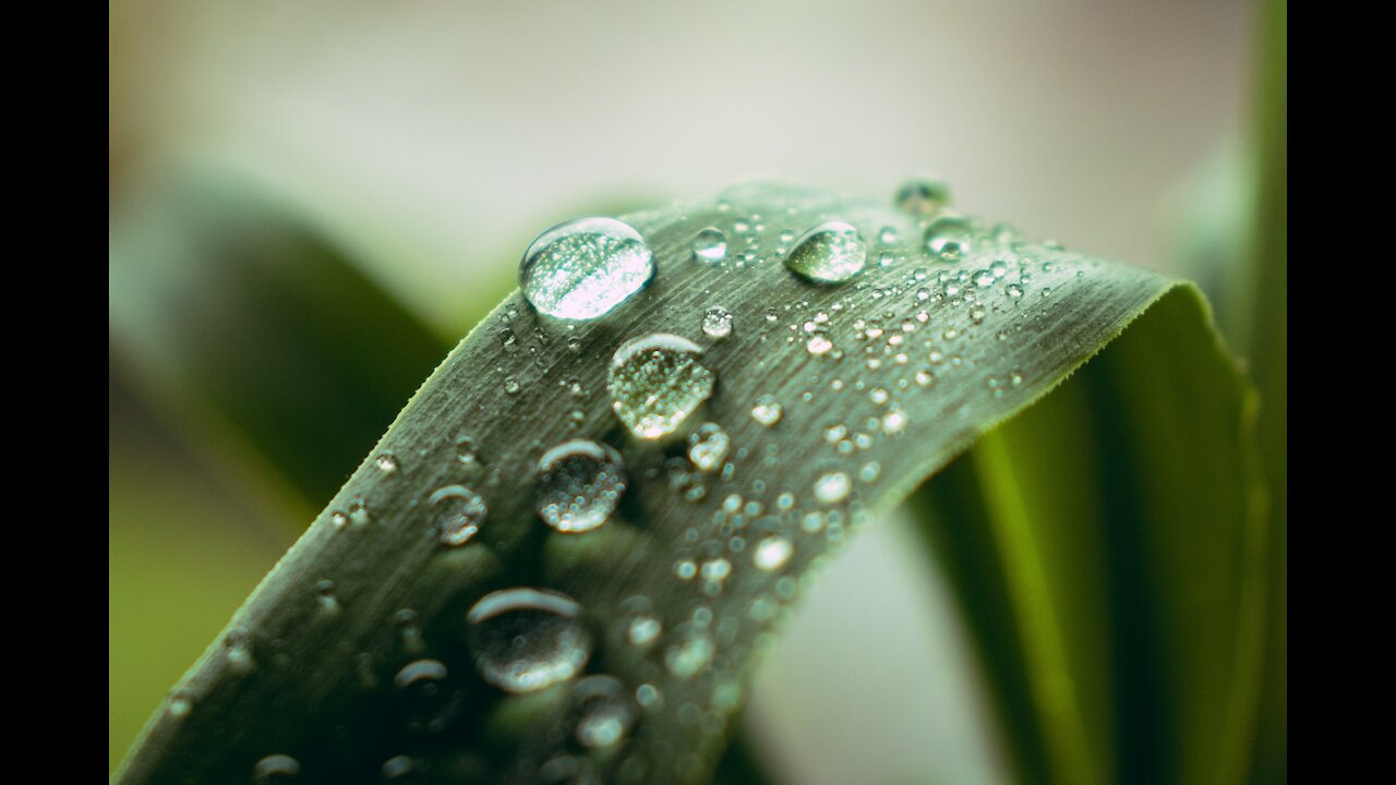 Rain Video for Deep Sleeping & Relaxing