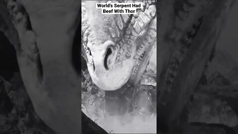World’s Serpent Wants All The Smoke 💀