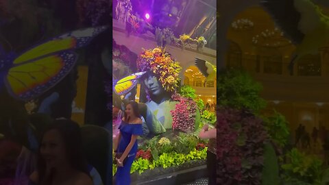 Gaia at The Bellagio in Las Vegas. Very sweet! Awesome!