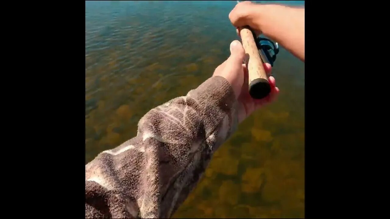 fishing with soft plastics