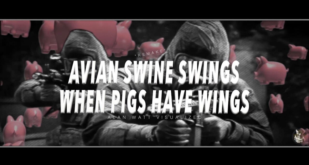 Avian Swine Swings When Pigs have Wings/Alan Watt