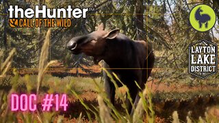 The Hunter: Call of the Wild, Doc #14 Layton Lakes (PS5 4K)