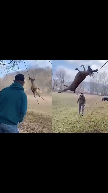 Heart warming rescue: Ohio men save deer caught on rope