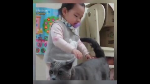 cute little girls play with cat