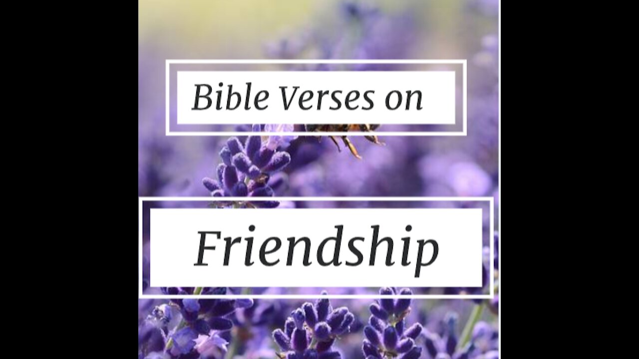 5 Bible Verses on FRIENDSHIP love #shorts 2//Scriptures on friendship// verses about friendship