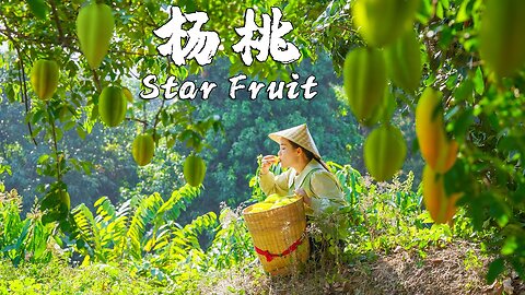 One Fruit for a Table: Star Fruit - The Treasure Fruit with Five Pointed Stars Inside